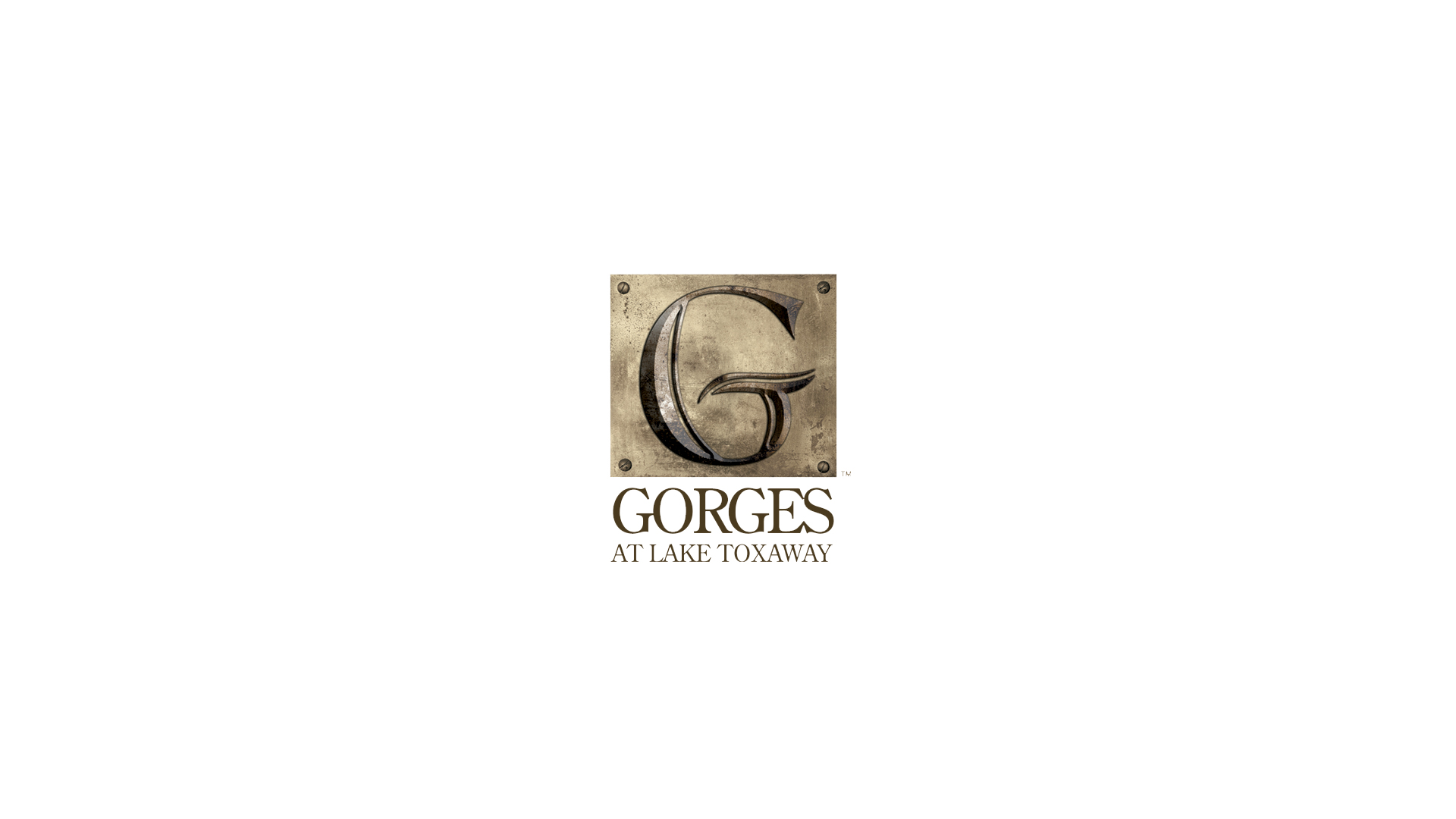 Logo Design Logo Design